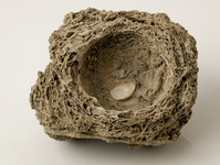 M 00032
<br/>
<br/>
<em></em>